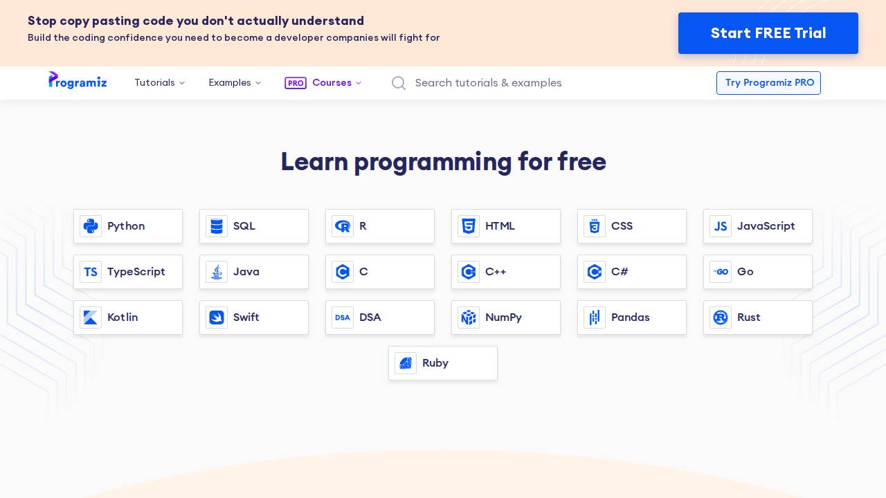 Programiz Screenshot